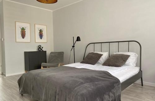 Swidnica Apartment | APARTAMENT KILIŃSKIEGO 9