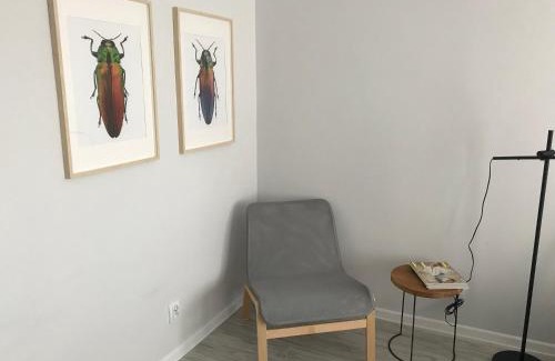Swidnica Apartment | APARTAMENT KILIŃSKIEGO 9