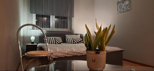 Lebork Apartment | Apartament komfortowy Levino