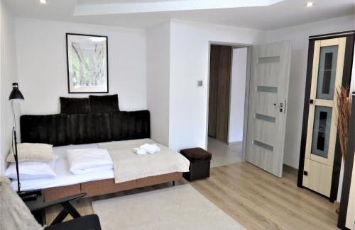 Biala Podlaska Apartment | Apartament KOPERNIK X