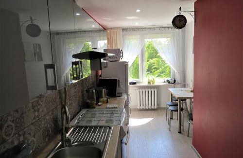 Biala Podlaska Apartment | Apartament KOPERNIK X