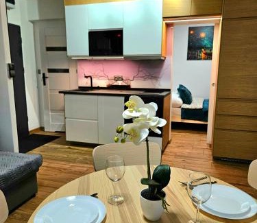 Gliwice Apartment | Apartament Kozielska z balkonem i klimatyzacją