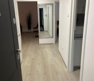 Roman Apartment | Apartament la Nicole ultracentral Bld Roman bloc 39
