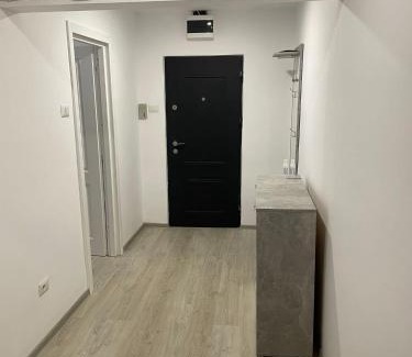 Roman Apartment | Apartament la Nicole ultracentral Bld Roman bloc 39
