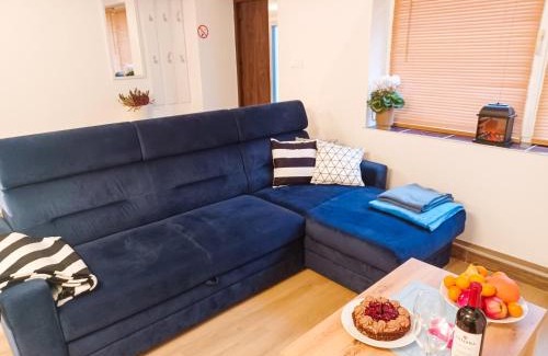 Sosnowka Apartment | Apartament LABA