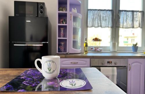 Skarzysko-Kamienna Apartment | Apartament Lawendowy
