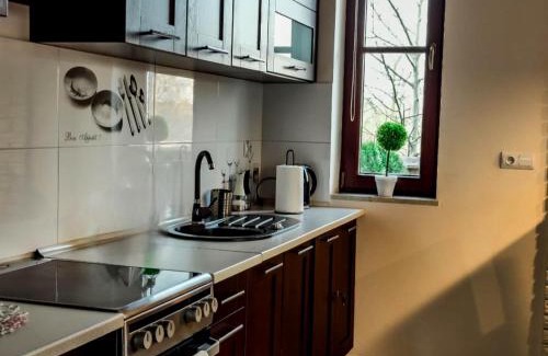 Naleczow Apartment | Apartament Lawendowy