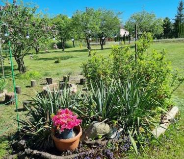 Labunie House | Apartament Lipska 36