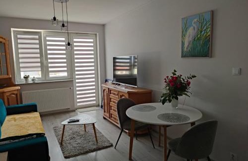 Gorzow Wielkopolski Apartment | Apartament Londyńska 9a