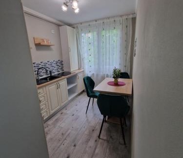 Reghin Apartment | Apartament Luna