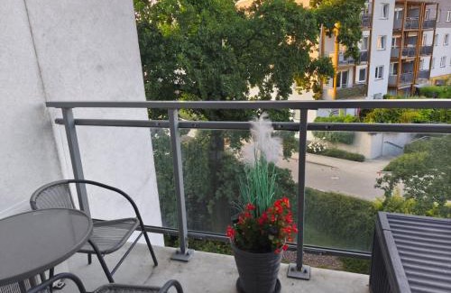 Psie Pole Apartment | Apartament Magellana