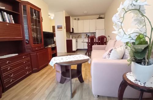 Psie Pole Apartment | Apartament Magellana