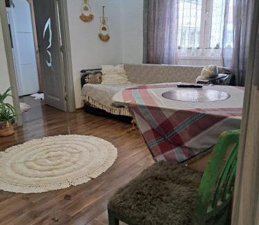 Medias Apartment | Apartament Medias Metanului