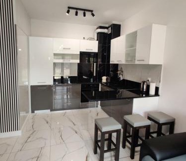 Elk Apartment | Apartament Mono Ełk CENTRUM