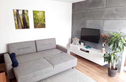 Naleczow Apartment | Apartament Nałęczowskie Wąwozy