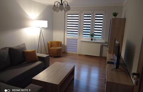 Stalowa Wola Apartment | Apartament na parterze
