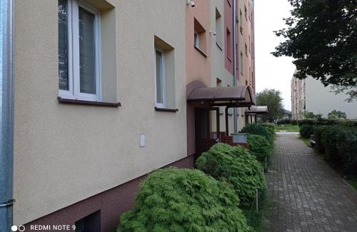 Stalowa Wola Apartment | Apartament na parterze