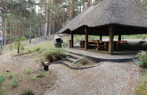 Swornegacie Apartment | Apartament na skarpie z widokiem na jezioro Swornegacie