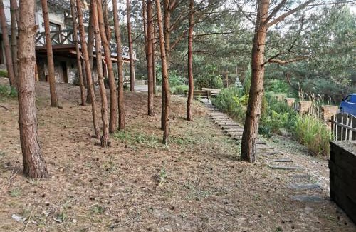 Swornegacie Apartment | Apartament na skarpie z widokiem na jezioro Swornegacie