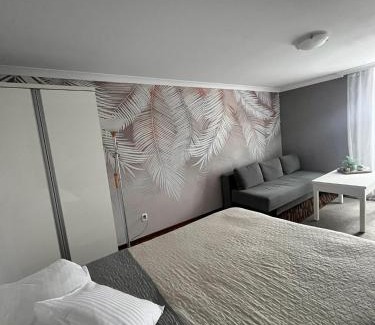 Pszczyna Apartment | Apartament Na Starówce VII