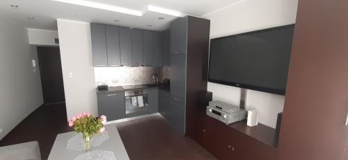 Dziaki Lesne Apartment | Apartament na Warszawskiej