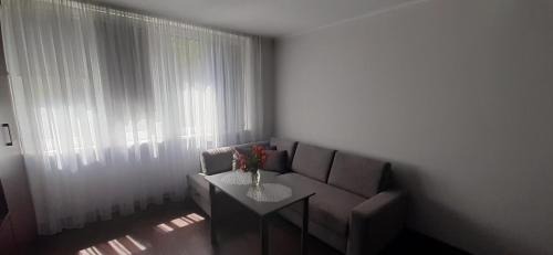 Dziaki Lesne Apartment | Apartament na Warszawskiej