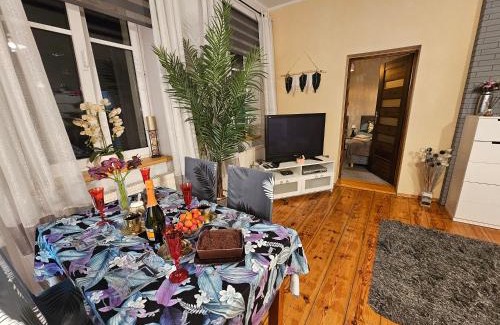 Wilda Apartment | Apartament na Wildzie