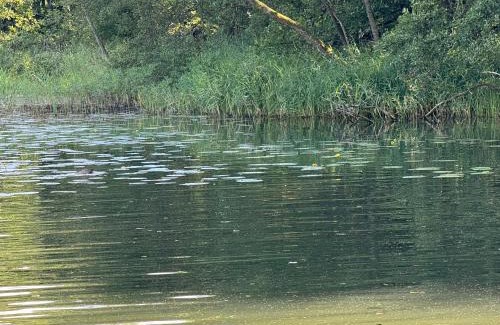 Zlocieniec Boat Rental | Apartament na wodzie - Houseboat