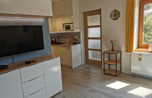 Duszniki Zdroj Apartment | Apartament Na Wzgórzu