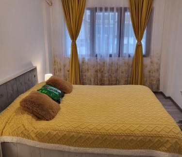 Baile Herculane Apartment | Apartament NECTARIA