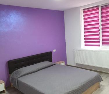 Barlad Apartment | Apartament negris