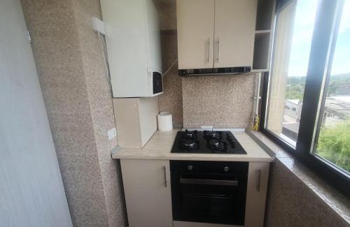 Curtea De Arges Apartment | Apartament Nicole