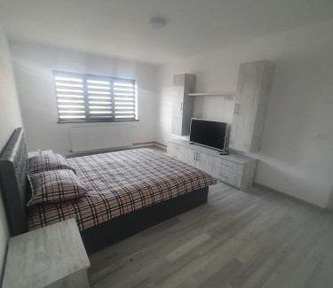Curtea De Arges Apartment | Apartament Nicole