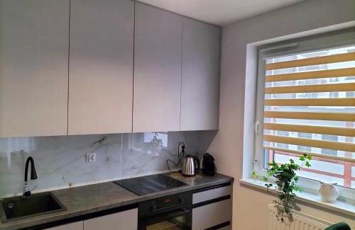 Torun Apartment | Apartament nr15 z parkingiem podziemnym