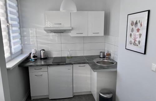 Dzierzoniow Apartment | APARTAMENT OŚ. JASNE 9C