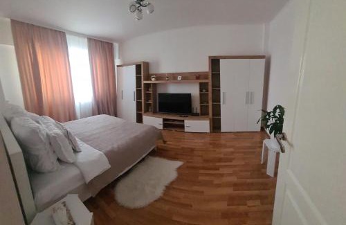 Negresti-Oas Apartment | Apartament Oașul