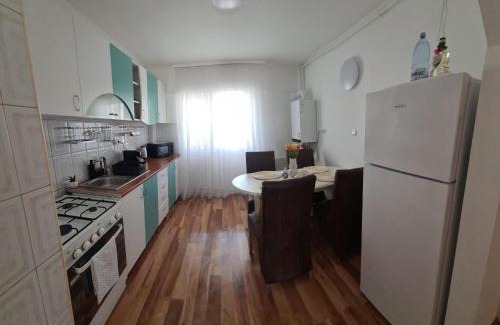 Negresti-Oas Apartment | Apartament Oașul
