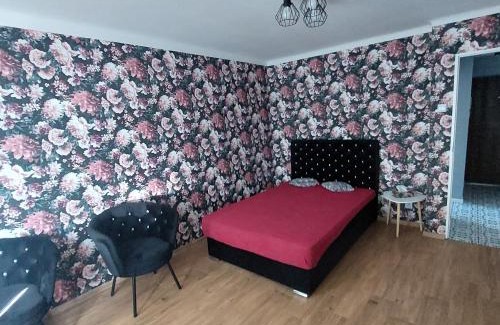 Wloclawek Apartment | Apartament Okrzei