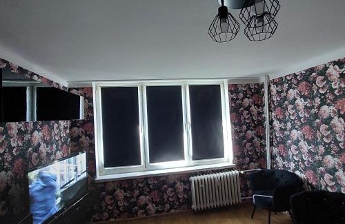 Wloclawek Apartment | Apartament Okrzei