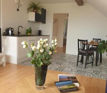 Jezow Sudecki Apartment | Apartament Panorama