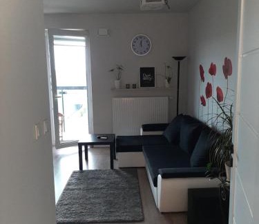 Gorce Apartment | Apartament Pełka