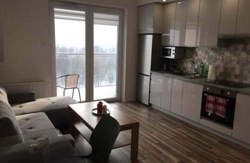 Rzeszow Apartment | apartament