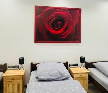 Krupski Mlyn Apartment | Apartament pod ŚWIERKIEM