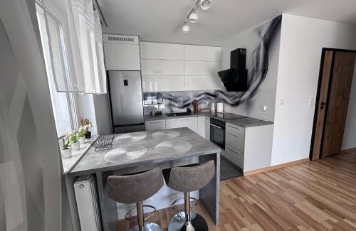 Bielsko-Biala Apartment | Apartament pod Dębami