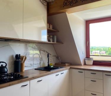Dzianisz Apartment | Apartament Pod Ostryszem