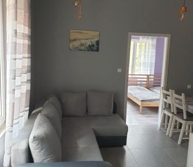 Skarszewy Apartment | Apartament Pod Sosami 3 Noclegi OTW Borówno WLK Skarszewy