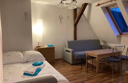 Sokołowsko Apartment | Apartament pod Stożkiem