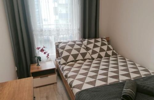Pruszcz Gdanski Apartment | Apartament Pruszcz Gdański 1