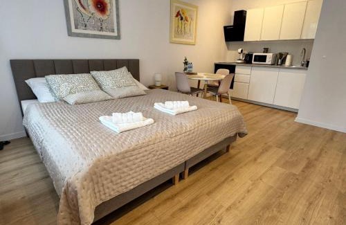 Malbork Apartment | Apartament Przedzamcze Malbork
