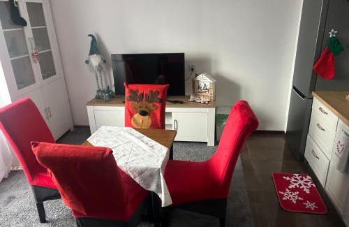Biala Podlaska Apartment | APARTAMENT przy Parku Radziwiłła